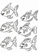 Poissons Coloriages Poisson sketch template