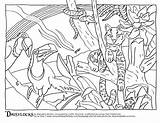 Coloring Pages Habitat Rainforest Camouflage Animal Color Forest Amazon Animals Sheets Drawing Habitats Printable Counts Getdrawings Getcolorings Print Colorings Mindware sketch template