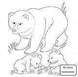 Coloring Bear Pages Printable Baby Cubs Animal Animals Mother Grizzly Print Woodland Color Brown Cub Creatures Bears Supercoloring Para Getcolorings sketch template