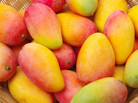delicious mango recipes    summer