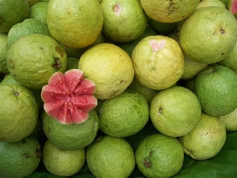guava  fruit  adaptability superfruit kulwinder singh  blog