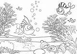 Sea Drawing Under Ecosystem Underwater Kids Pond Drawings Getdrawings Drawn Paintingvalley Labels sketch template