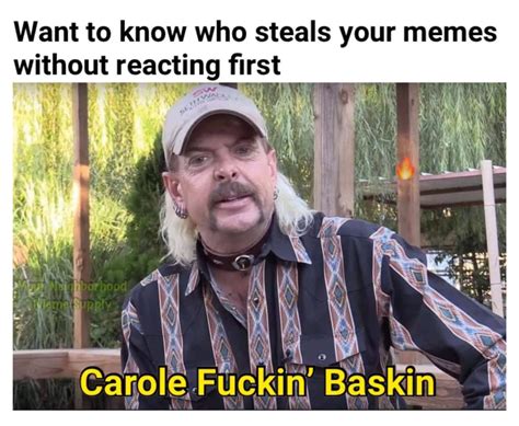 carole baskin memes collection of funniest reactions to tiger king star
