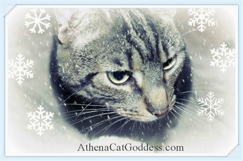 athena cat goddess wise kitty caturday art