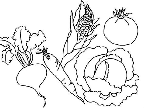 vegetable coloring pages  coloring pages  kids printable