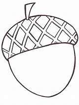 Acorn Coloring Printable Pages sketch template