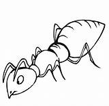 Formiga Formigas Ant Atividades sketch template