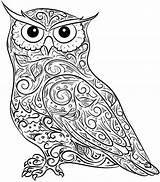 Coloring Owl Adults Adult Difficult Pages Printable sketch template
