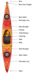 anatomy   kayak captain mikes kayak rentals