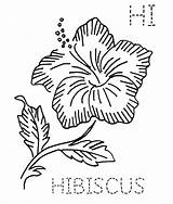 Flower Coloring Trinidad Hibiscus National Pages Print Click Block Embroidery Flickr Hawaii Drawings Maga Flor Drop Menu Search Inch Size sketch template