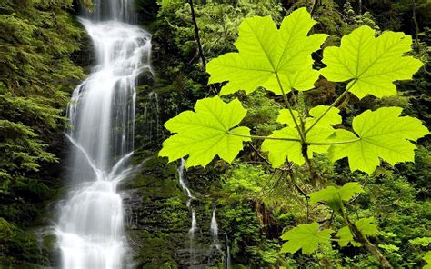 nature waterfall scenery  wallpaper