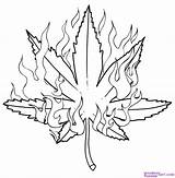 Leaf Weed Drawing Coloring Pages Tumblr Leaves Print Getdrawings sketch template