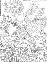 Coloring Drawn Hand Pages Sea Artist Kathy Sturr Visit Color sketch template