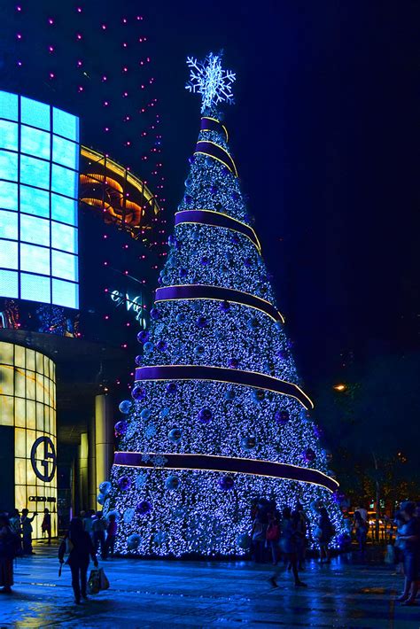 christmas tree   day   edition ion orchard sparklette magazine