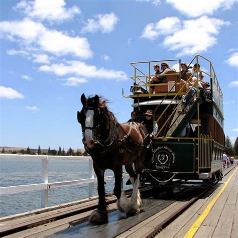 horse drawn trams  victor harbor amusing planet