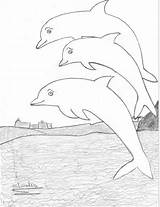 Dolphin Drawing Jumping Dolphins Drawings Water Line Draw Easy Pencil Clipart Cliparts Step Getdrawings Bottlenose Group Library sketch template