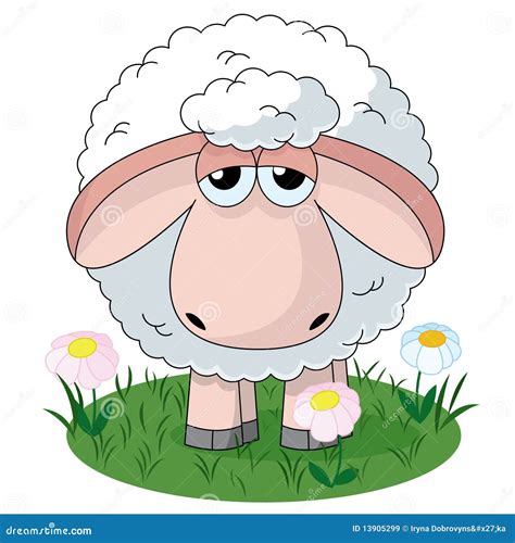 schapen vector illustratie illustration  karakters