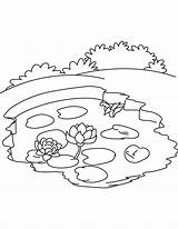 Pond Coloring Lake Pages Ecosystem Water Lily Drawing Printable Cycle Animals Kids Color Sheet Carbon Ocean Frog Getdrawings Getcolorings Nature sketch template