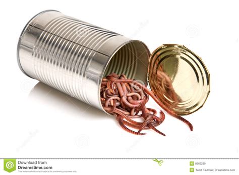 open can of worms royalty free stock images image 8565239