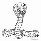 Snake Color Coloring Pages Printable Kids sketch template