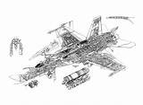 Hornet Super 18 Cutaway Drawing Boeing Pages Sketch Coloring 18f Template sketch template