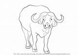 Buffalo African Draw Step Drawing Animals Animal Wild Drawingtutorials101 Drawings Coloring Pages Previous Next sketch template