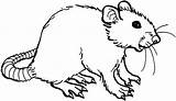 Rat Rats Xd Doghousemusic Template sketch template