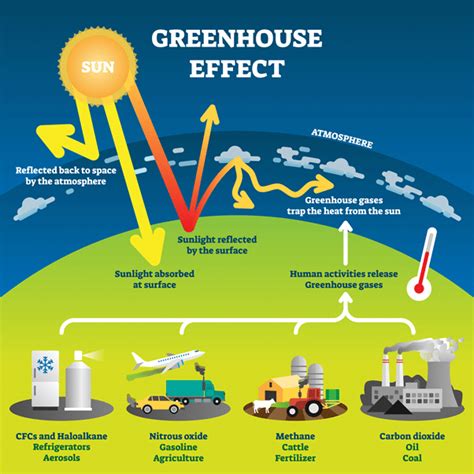 greenhouse effect shalom education