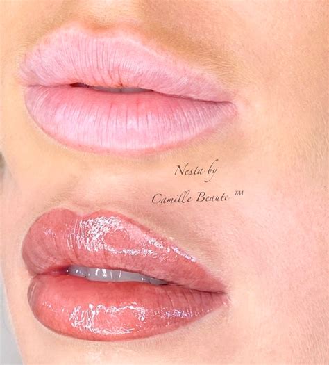 permanent lips  camille beaute