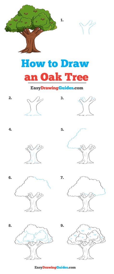 draw  oak tree  easy drawing tutorial tree drawing
