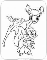 Bambi Coloring Pages Thumper Flower Disneyclips sketch template