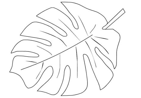 palm leaf coloring page leaf coloring page tree coloring page fall