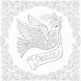 Coloring Dove Peace Pages Bird sketch template