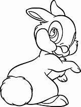 Bambi Thumper Rabbit Panpan Wecoloringpage Lapin Gratuitement Imprimez Getdrawings sketch template