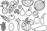 Fruits Groenten Reeks Verschillende sketch template