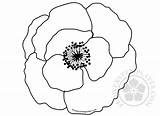 Poppy Flower Template Coloring Poppies Templates Flowers Flowerstemplates sketch template