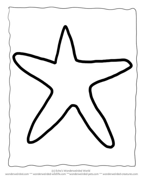 printable starfish template echos  starfish outline patterns