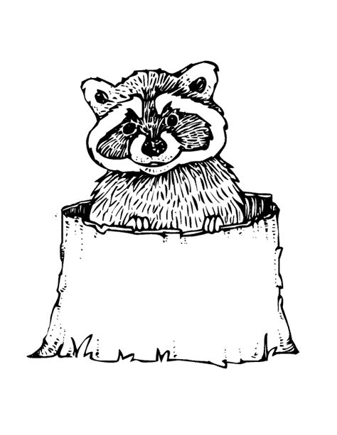 woodland animals coloring page coloring home