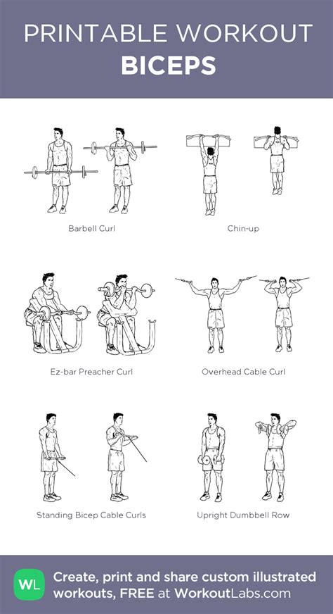 biceps bicep and tricep workout arm day workout mens