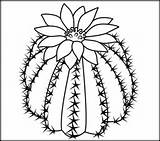 Coloring Cactus Pages Color Flowers Printable Number Easy Online Desert Flower Drawing Para Printables Simple Kids Coloritbynumbers Dibujos Adult Google sketch template