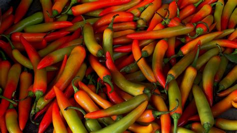 origins  food  love chili peppers  adventures