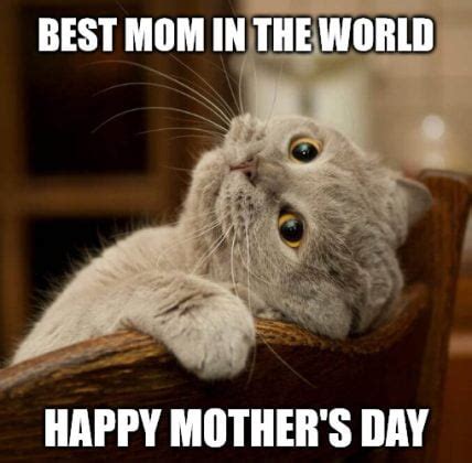 sweet happy mothers day memes sayingimagescom