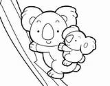 Koala Para Colorear Dibujo Mother Madre Coloring Koalas Coloringcrew Dibujos sketch template