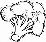 Broccoli Coloring Pages Vegetable Healthy Food Kids Drawing Vegetables Clipart Clip Kidsdrawing Outline Getdrawings Fall Fruit Clipground Fruits Sheets sketch template