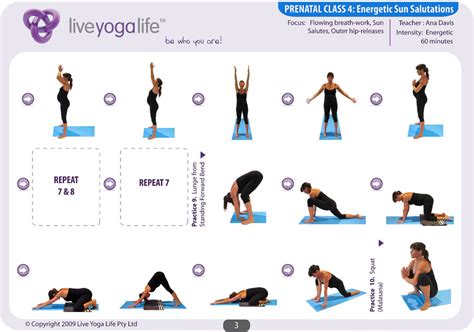 prenatal yoga complete set classes     yoga life