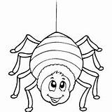 Coloring Bug Pages Stripey Spider Surfnetkids Next sketch template