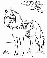 Coloring Pages Horse Saddle Horses Color Kids Printable Print Colouring Samson Palomino Sheets Girls Animal Animals Books Adult Farm Getcolorings sketch template