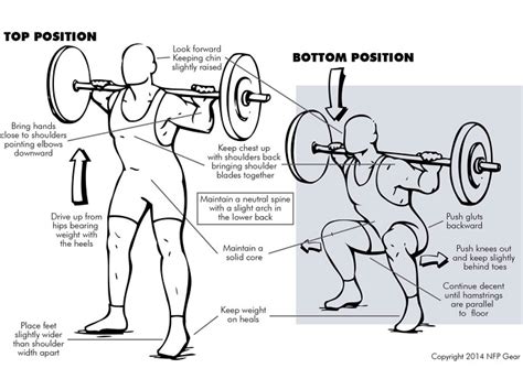 Squats 8 Reasons To Do This Misunderstood Exercise