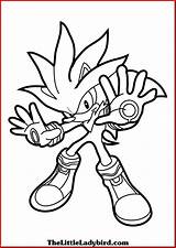 Sonic Coloring Getdrawings Games Pages sketch template