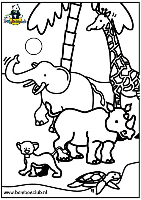 animals coloring pages coloringpagescom